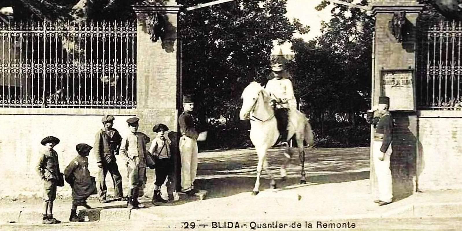 1736- Blida - Quartier2 de la Remonte.jpg
